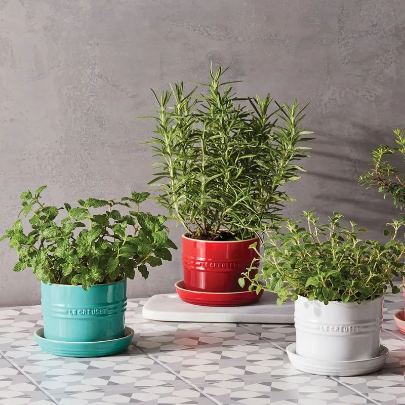 Vaso para ervas - meringue